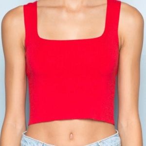 Brandy Melville Crop Top
